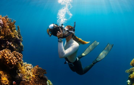 Koh Tao, Thailand: A Premier Destination for Scuba Diving Excellence ...